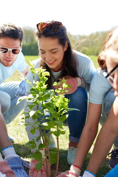 group-of-volunteers-planting-tree-in-park-2026-01-05-04-45-26-utc.jpg