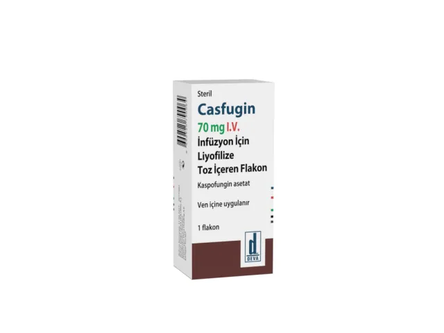 casfugin-70-camera-24.png
