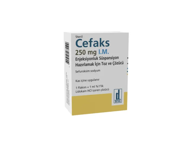 cefaks-250-mg-im-flakon-camera-24.jpg