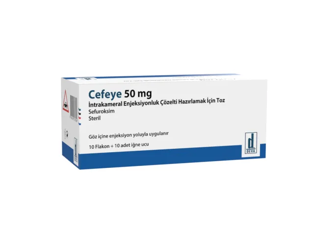 cefeye-camera-24.png
